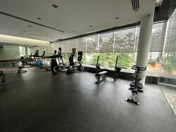 Treasure On Balmoral (D10), Apartment #472563031